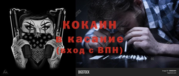 твердый Арсеньев