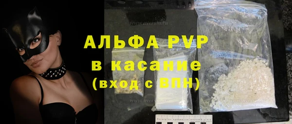 твердый Арсеньев