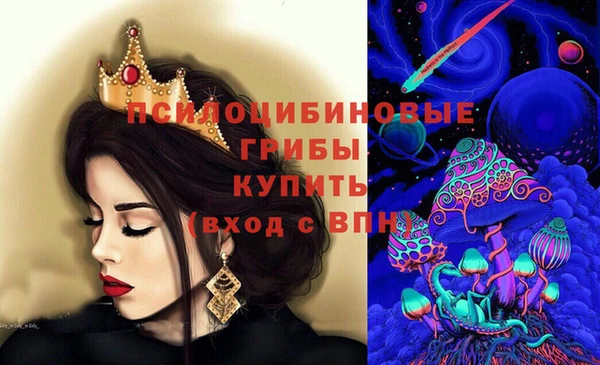 МДМА Медвежьегорск