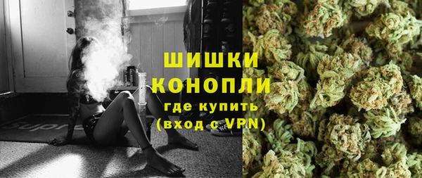 твердый Арсеньев